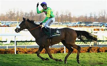Five time winner of the King George Kauto Star